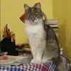 Отзыв от Алина Калачева